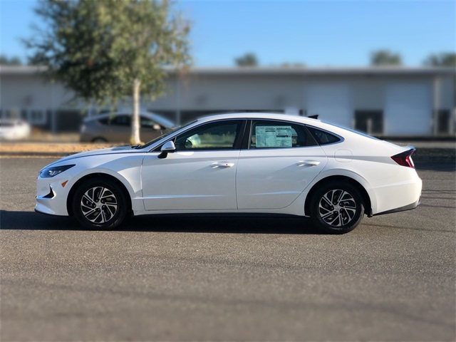 New 2020 Hyundai Sonata Hybrid Blue 4D Sedan in Bellingham #LA013626 ...